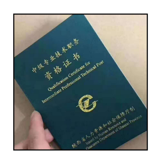 1744159428687.jpg